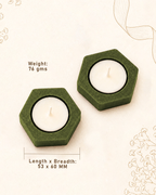 TULIP GREEN