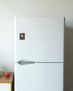 ASTHA MAGNET - Lotus (Rectangle)