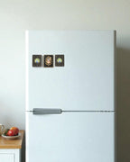 AASTHA MAGNET - Set of Purna Chhavi and Peacock (Rectangle)